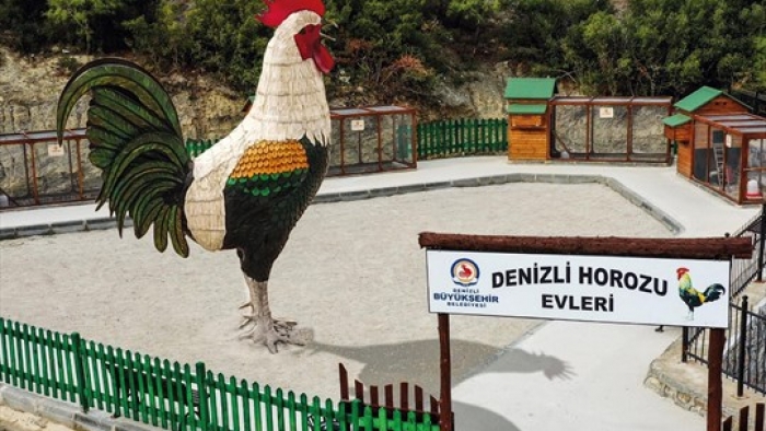 Denizli Büyükşehir'den sıra dışı #Evdekal çağrısı