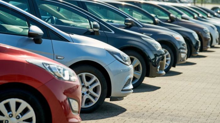 Mavi Cennetin Anahtarı: Bodrum Araç Kiralama Sırları