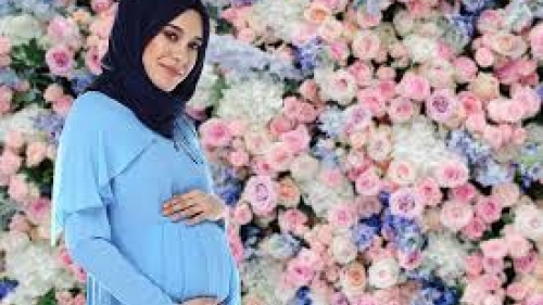 Hamile Elbisesi Modelleri ve Fiyatları İçin Style The Bumpclo!